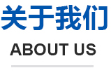 安康網絡公司